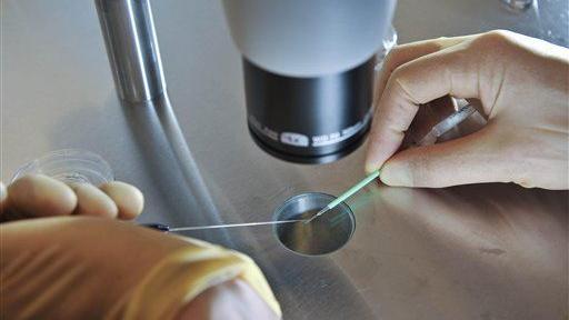 Arizona bill would dictate who gets frozen embryos if couple divorces